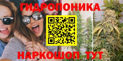 амф Дубна