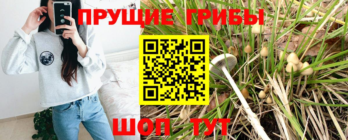 Галлюциногенные грибы Psilocybine cubensis  Вход с VPN  Михайловка  Галлюциногенные грибы Psilocybine cubensis 