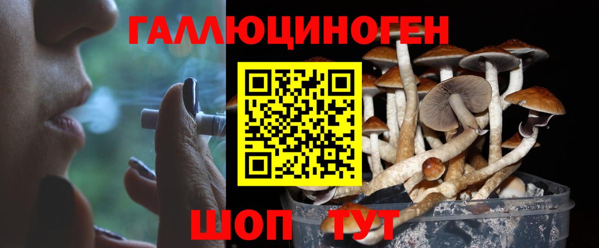Галлюциногенные грибы GOLDEN TEACHER Михайловка